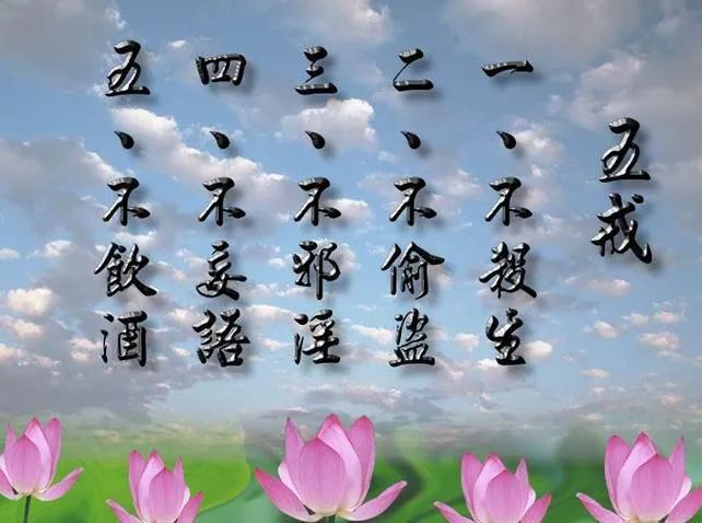 澳门一码一肖一待一中广，词语释义解释落实