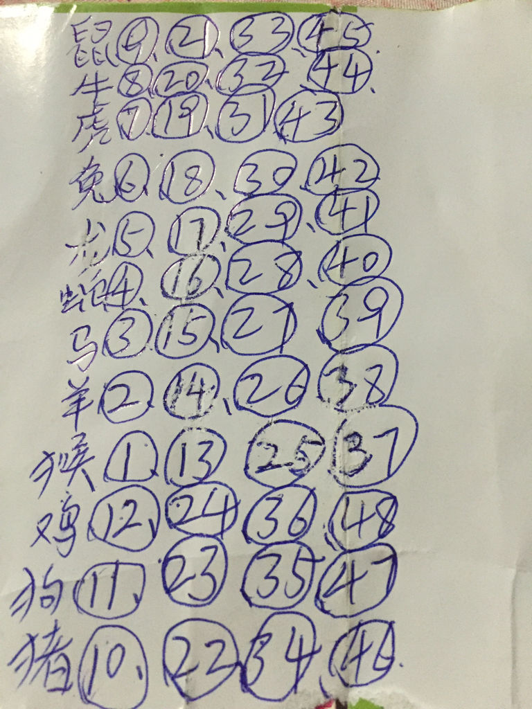 今天晚9点30开正确生肖，精选解析解释落实