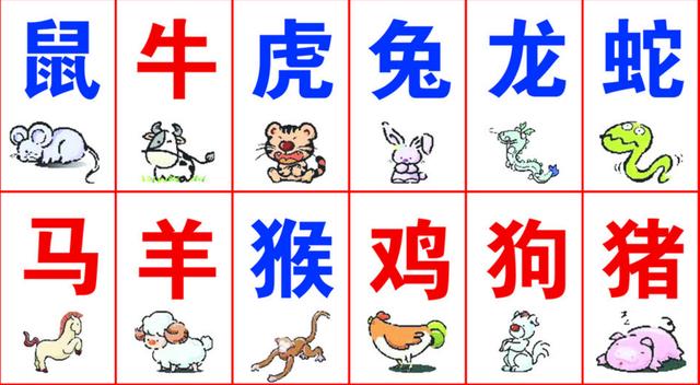 一码一肖100%精准生肖，精选解析解释落实