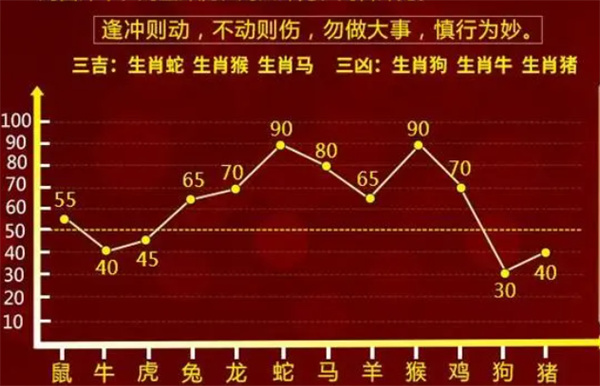 精准解析一肖一码一孑一特一中，全面释义解释落实