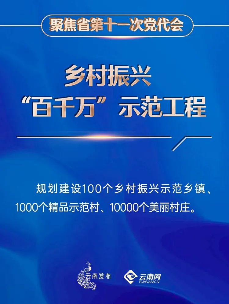 新澳三期必出一肖，全面释义解释落实