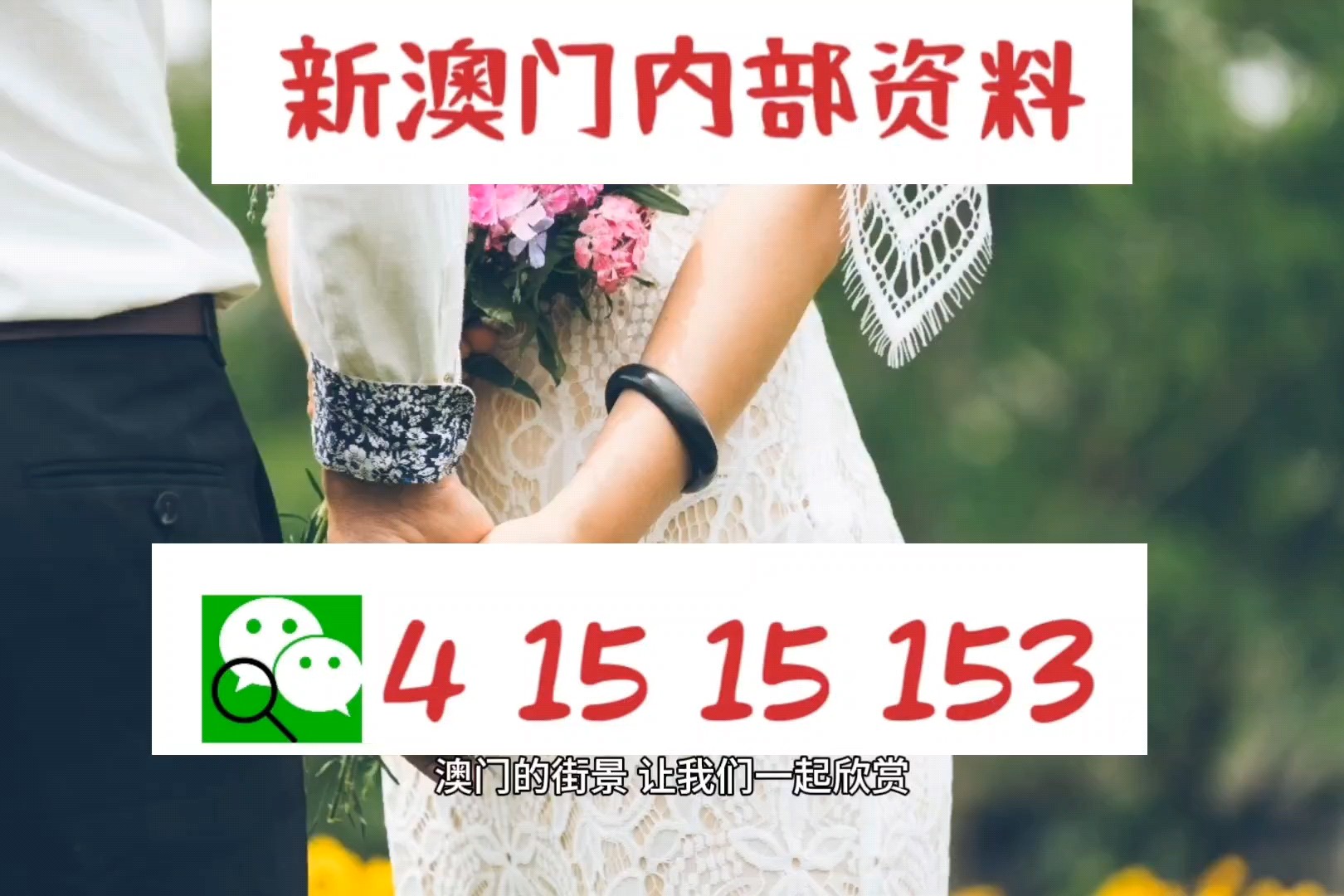 快评 第141页