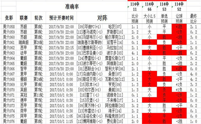 澳彩资料免费资料，实用释义与落实的全面指南