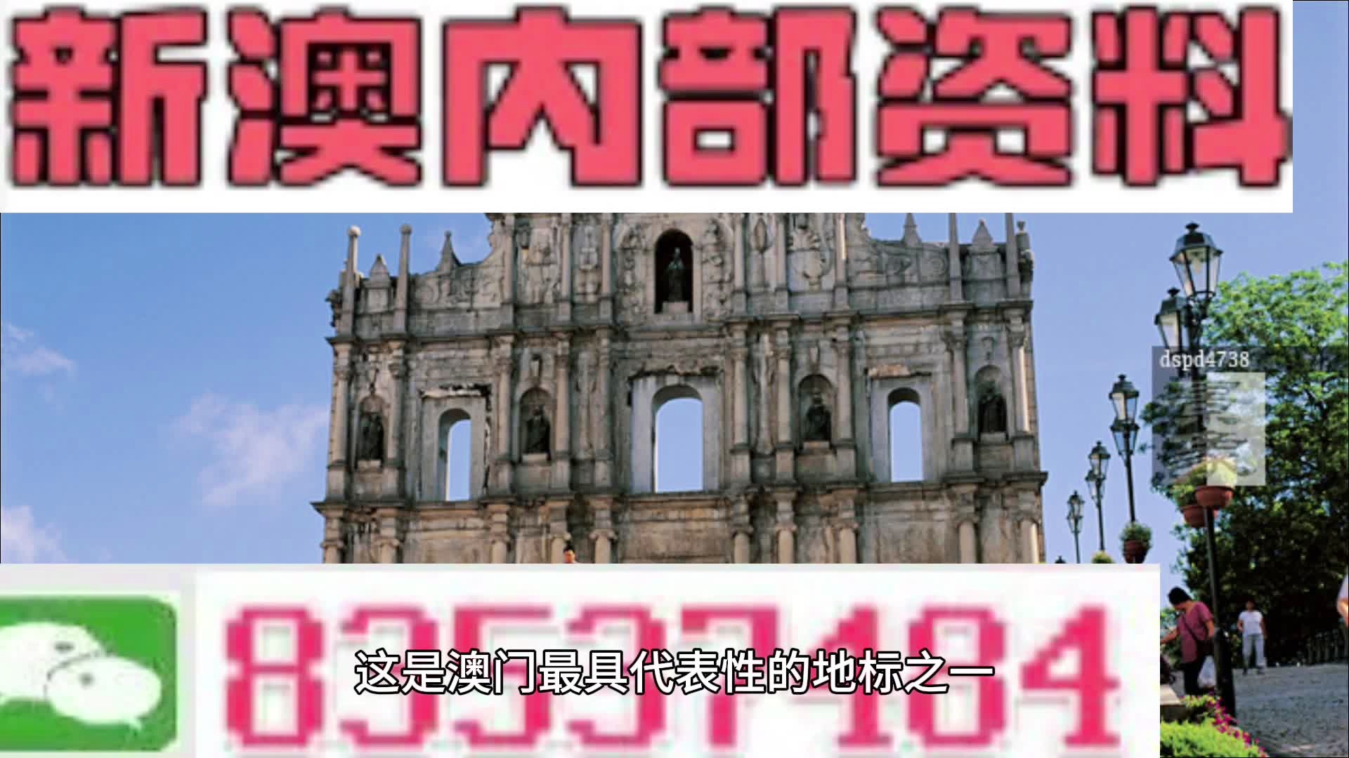 澳门版全年免费大全，词语释义、解释与落实