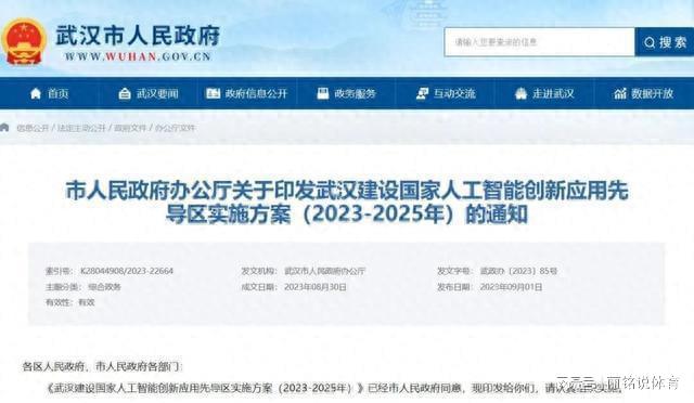 2025新澳最精准免费大全，精选解析与实施策略