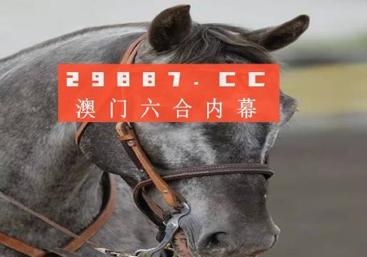 澳门一肖一码一特一中挂，全面释义与理性解读