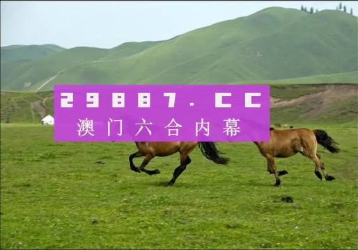 澳门天天彩期期精准龙门客栈，精选解析解释落实