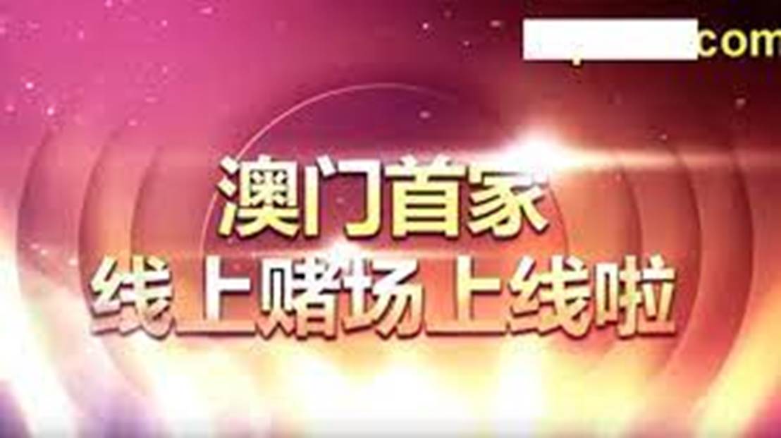 澳门天天免费精准大全，精选解析与落实