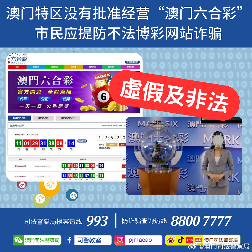 2025新澳门精准正版图库，精选解析解释落实