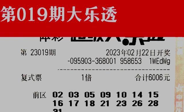 澳门天天彩期期精准十二生肖，全面释义解释落实