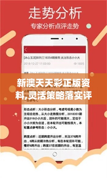 新澳天天彩正版资料，全面释义解释落实