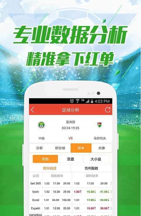 2025新澳今晚开奖结果查询表，全面释义解释落实