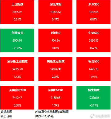 a股算力股大跌，全面释义解释落实