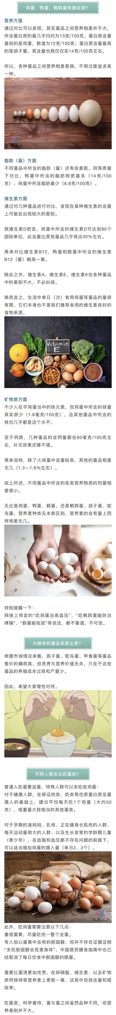 白小姐449999精准一句诗深入数，词语释义解释落实