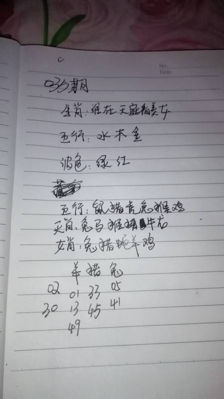 三肖三期必出特肖资料，实用释义解释落实