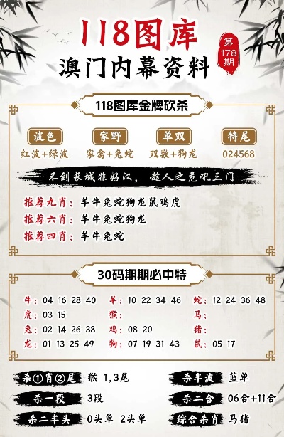 2025年澳门特马今，全面释义解释落实