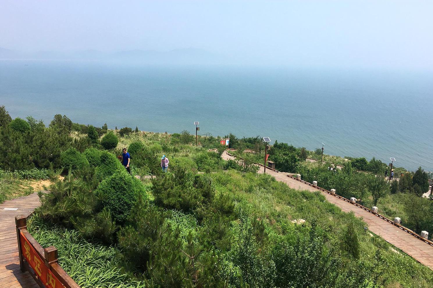 沈山高速扩建最新消息