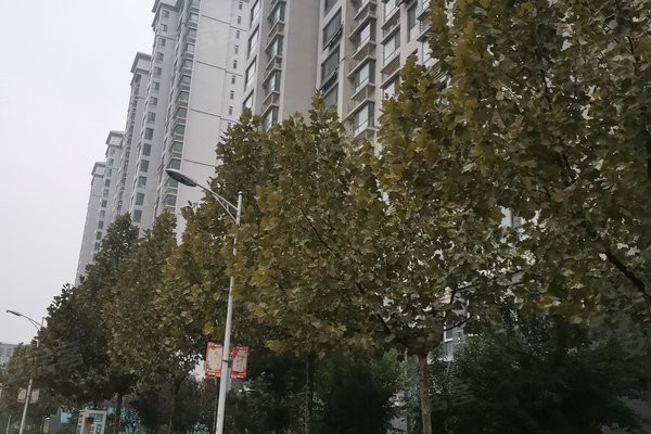 鹿锦苑二手房出售最新