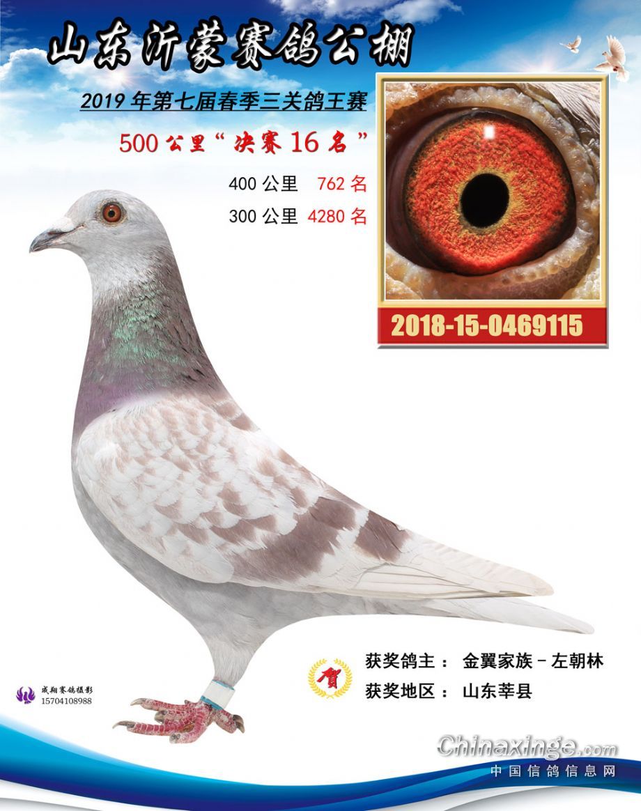 铭桥赛鸽公棚最新公告