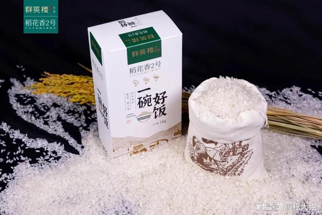 稻花香上市最新消息