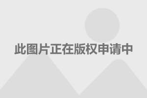 索纳塔混动版