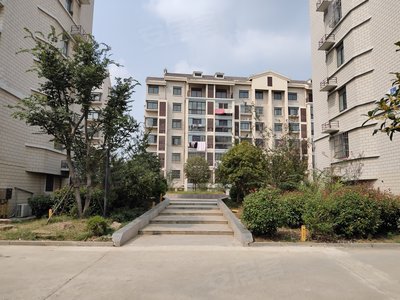 滨湖观湖苑最新房价