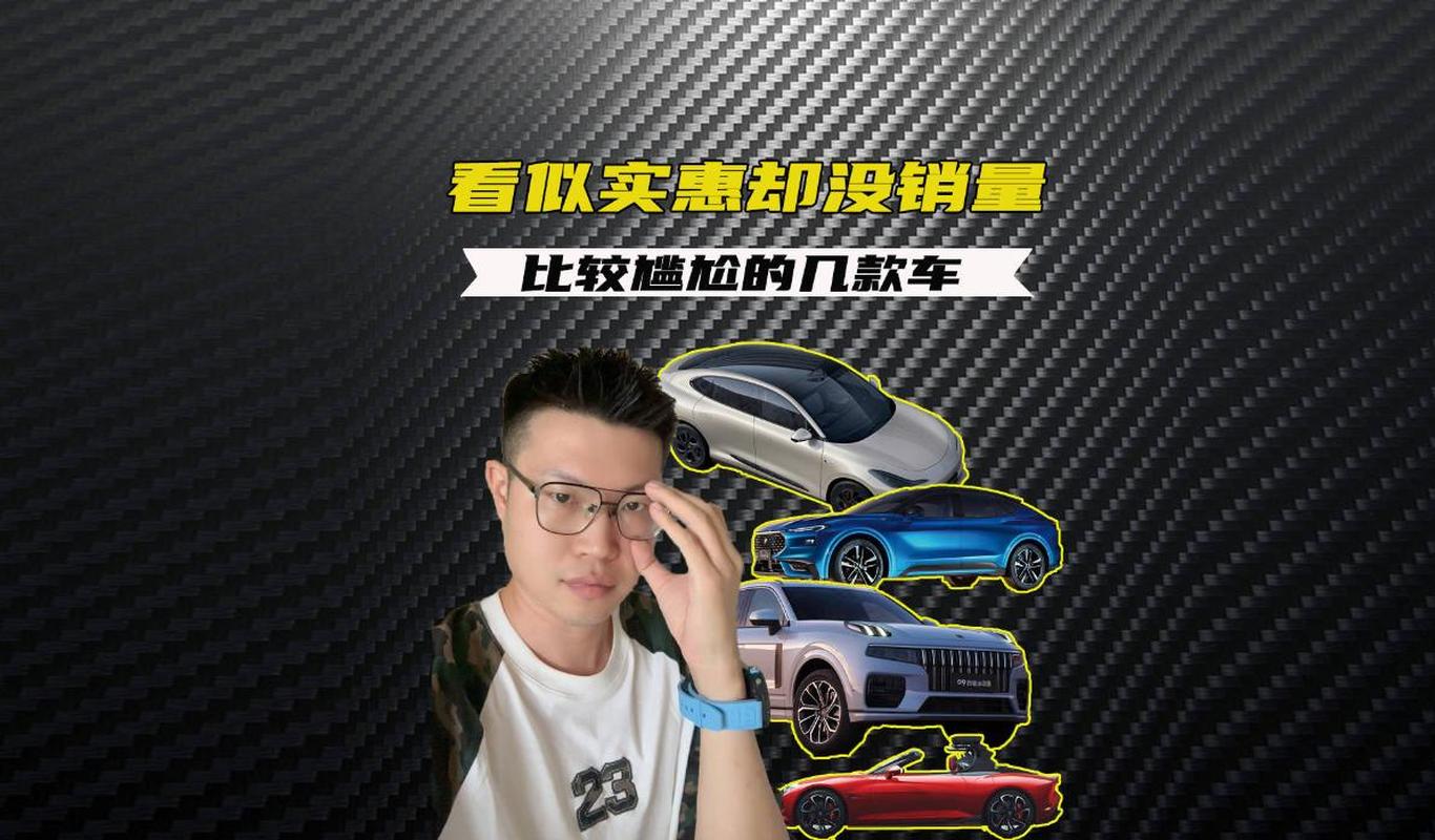 莫负寒夏最新番外买车