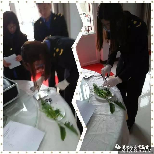 准旗长滩露天矿最新消息