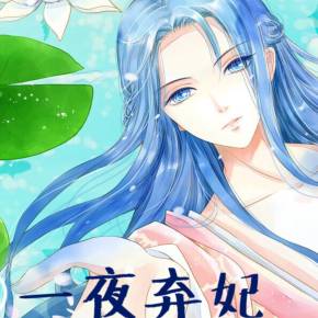 一夜弃妃书评最新