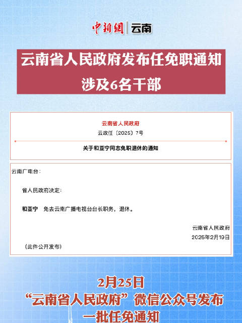 云南省政府最新任命