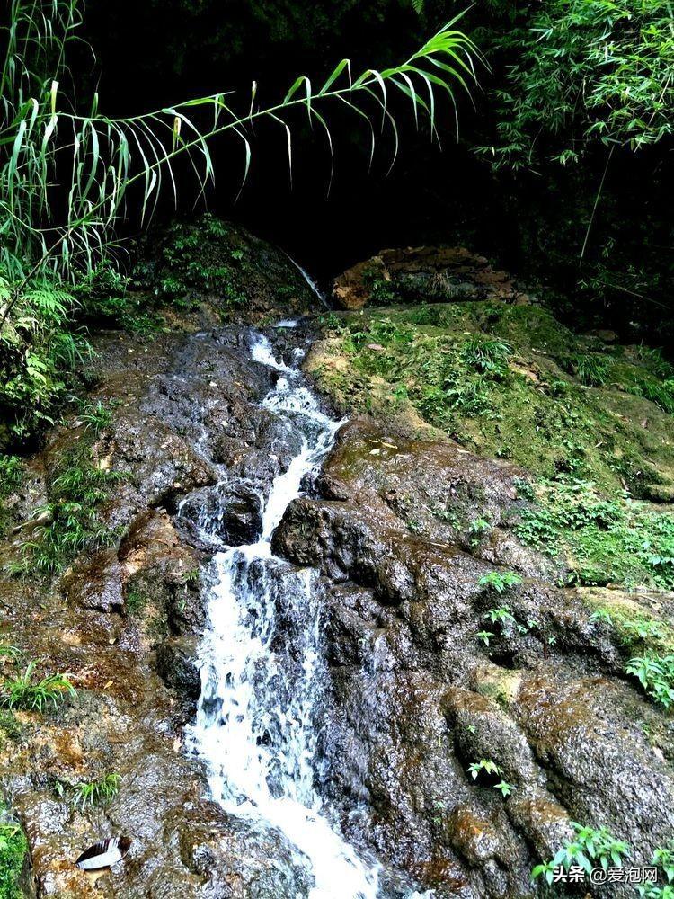 酉阳县车田乡最新消息