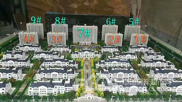 衢州通策兰堡最新动态