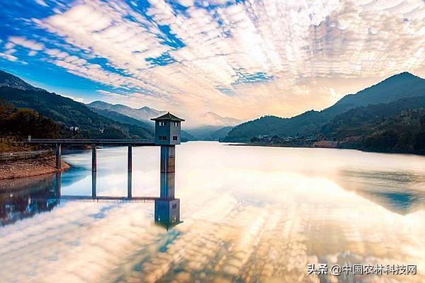 紫金一品最新房价