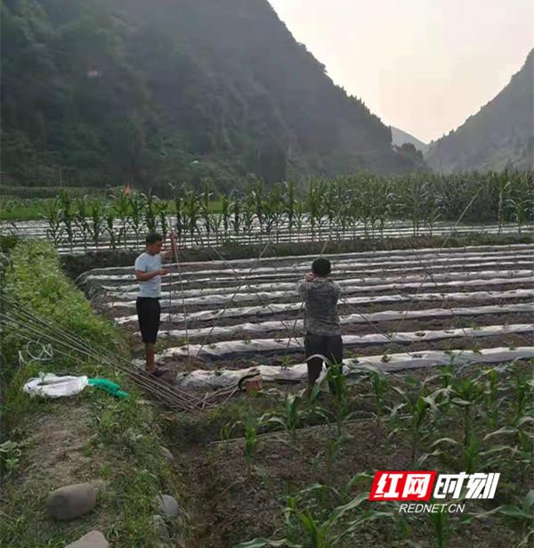 慈利人才网最新招聘