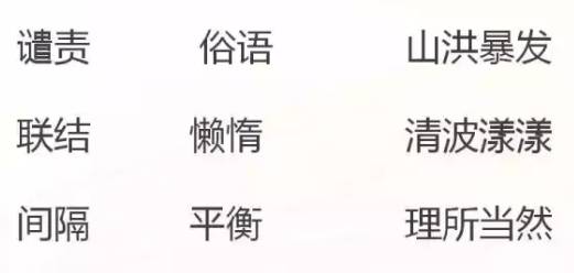 澳门一码一肖一待一中广，词语释义解释落实