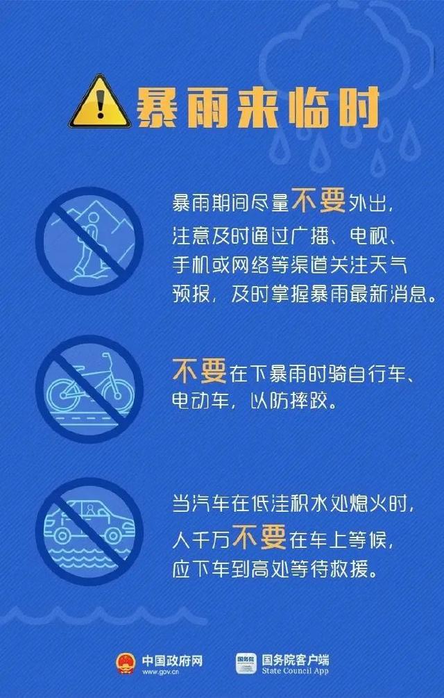 新澳2025今晚开奖资料跑狗图，全面释义解释落实