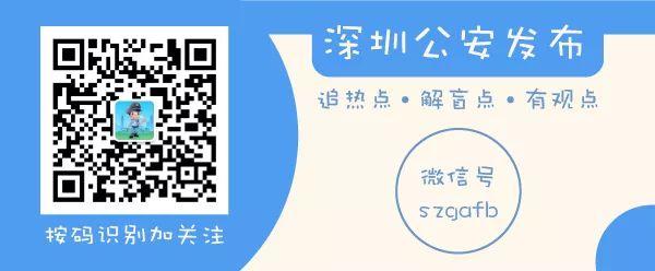 一肖一码一一肖一子深圳，精选解析解释落实