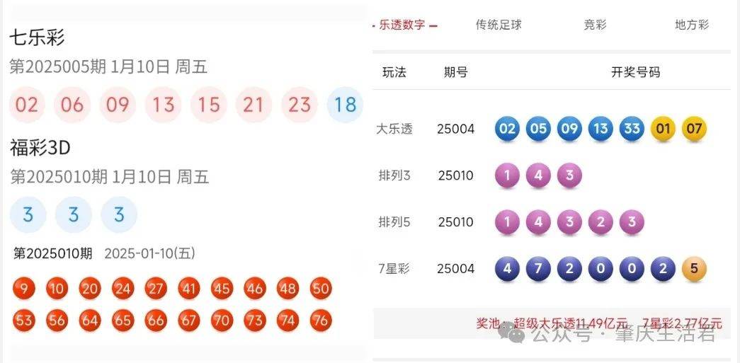 2025新澳门今晚开奖结果查询表，实用释义解释落实
