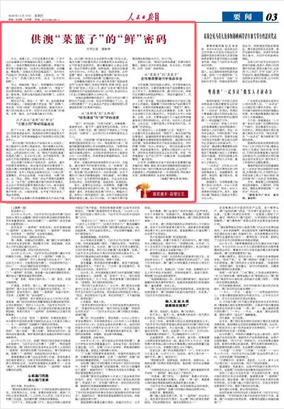 精选解析，落实新澳资料，打造高效学习与工作指南