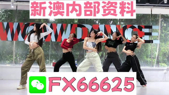 管家婆四肖四码，精准解析与高效落实的秘诀