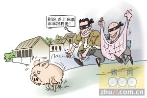 警惕网络陷阱，揭秘三肖必中三期必出资料的虚假宣传