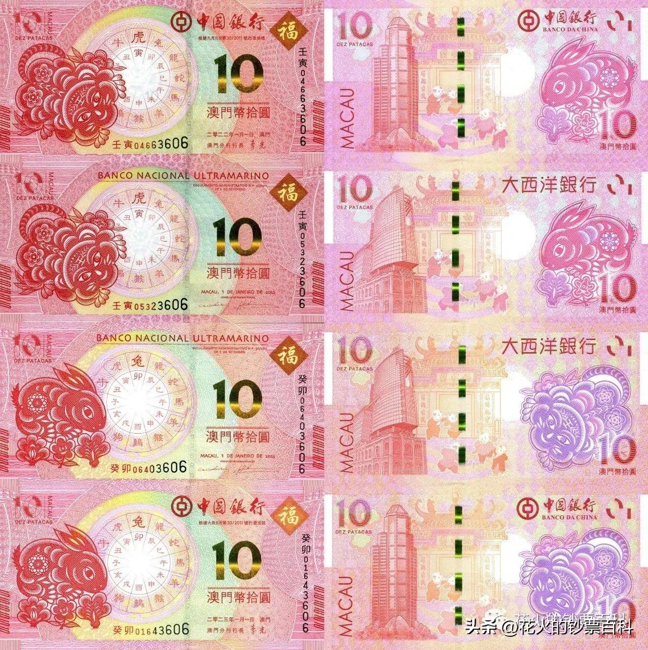 2025新澳门十码中特，全面释义解释落实