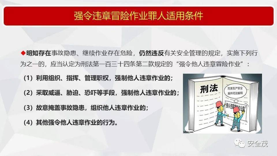 2025新澳免费资料大全，全面释义解释落实