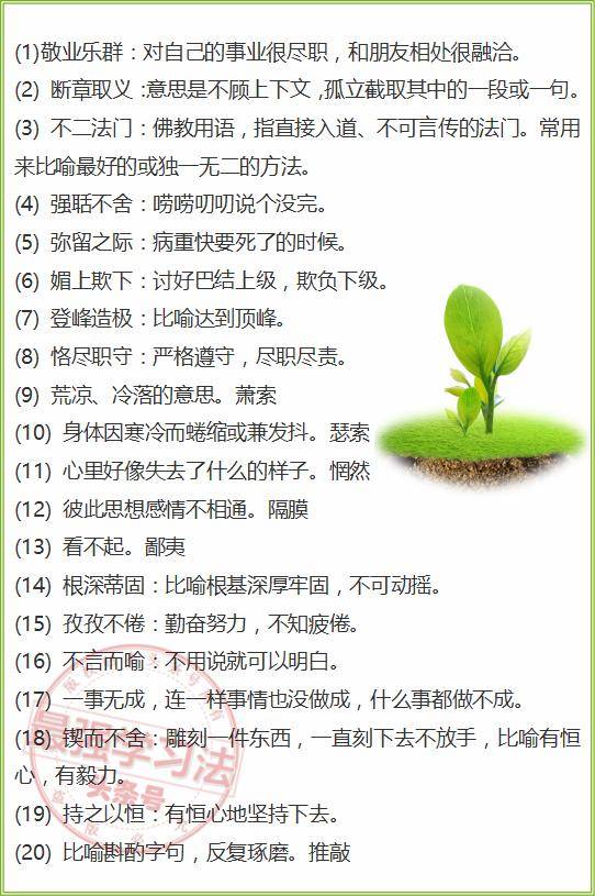 新澳2025天天正版资料大全，词语释义解释落实