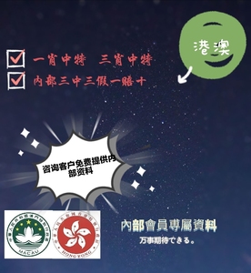大三巴一肖一码中，实用释义解释落实