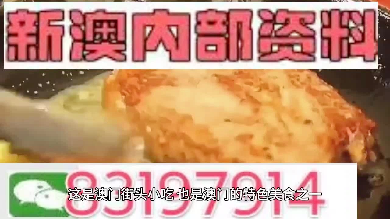 新澳门精选免费资料大全，实用释义解释落实